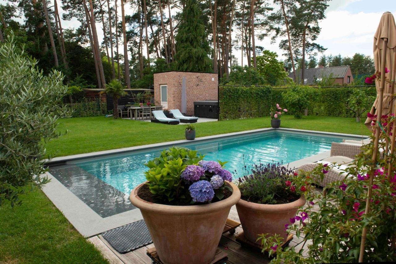 Studiobeerse Met Sauna Zwembad En Spa公寓 外观 照片